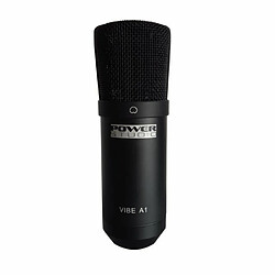 Microphone de chant