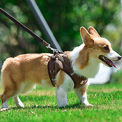 Universal Gilet à faisceaux réglable pour chiens et chats Gilet à faisceaux réflecteur pour chiens et chats avec corde de plomb à traction Accessoires pour animaux de compagnie Gilet respirant pour animaux de compagnie | Harnais (marron) pas cher