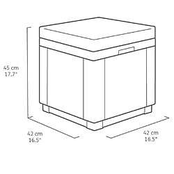 Acheter Keter Pouf de rangement Cube avec coussin Graphite