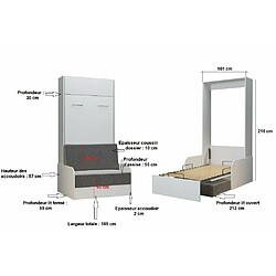 Avis Inside 75 Armoire lit escamotable DYNAMO SOFA canapé accoudoirs blanc tissu gris 90*200 cm