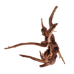 Avis bois tronc driftwood arbre aquarium poisson réservoir plante décoration ornement # 2