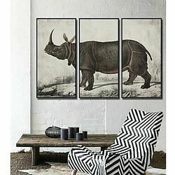 Cadre DKD Home Decor Colonial Rhinocéros (180 x 4 x 120 cm)