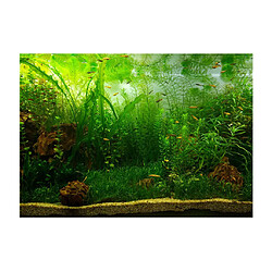 Avis Fond d'Aquarium Vivid, Adhésif Affiche Fish Tank Wall Decor Sticker Waterweeds M