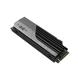 Silicon-Power Disque dur Silicon Power SP01KGBP44XS7005 1 TB SSD