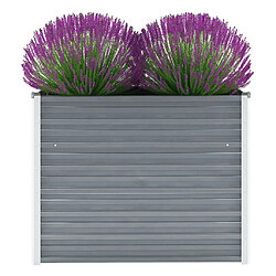 Maison Chic Jardinière,Lit surélevé de jardin - Bac à fleurs - pot de fleur Acier galvanisé 100x40x77 cm Gris -GKD91402