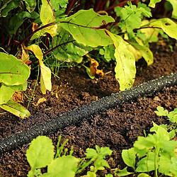 Tuyau d'irrigation Flopro 15m.