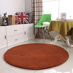 LUUCOZK Tapis moelleux en fausse fourrure Tapis à poils longs pour chambre à coucher Salon-Café-100cm de diamètre