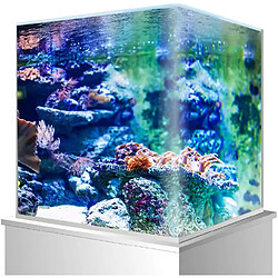 Amtra Cuve Nano Tank Aquarium pour Aquariophile 20