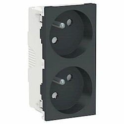 prise de courant - 2 x 2p+t - 45d - bornes auto - anthracite - schneider electric nu306954 