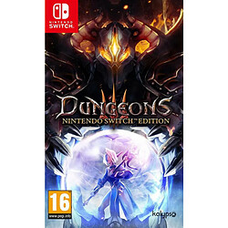 Kalypso Media Dungeons 3 Nintendo Switch