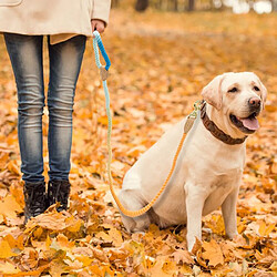 Acheter Universal Cordon de cuir en nylon pour les petits chiens, les petits chiens, les longs chiots lourds, les randonnées.