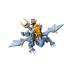 LEGO NINJAGO LEGO® Ninjago® 71810 Le jeune dragon Riyu