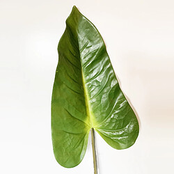 Avis WELLHOME Feuille d'anthurium artificiel 89 cm