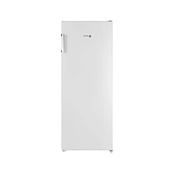 Fagor Congélateur armoire FNF6166EW