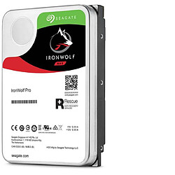 Seagate Technology Seagate IronWolf Pro 16 To (ST16000NE000)