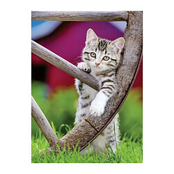 Puzzle 2x500 pieces - Les chatons a la campagne - Puzzle adultes Ravensburger - Des 10 ans - 17269