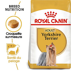 Royal Canin Race Yorkshire Terrier Adult