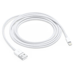 Apple Câble lightning USB 2m 