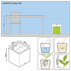 Pot Canto Color 30, beige sable 3 L 30 cm