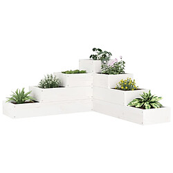 vidaXL Jardinière 4 niveaux 80,5x79x36 cm blanc bois de pin massif