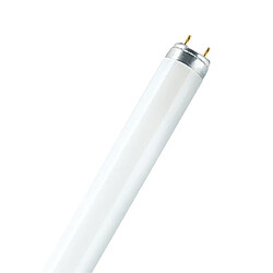 tube fluorescent - osram natura t8 - 18 watts - g13 - 750 lumens - pour présentation alimentaire