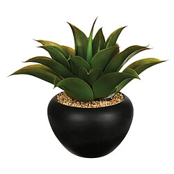 Atmosphera, Createur D'Interieur Aloe Vera en pot céramique H.37 cm - Atmosphera