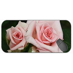 Universal (750x300x3) Tampon de souris de jeu extra large, magnifique tapis de pad de souris rose nature