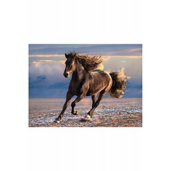 Puzzle 1000 pièces Clementoni High Quality Free Horse