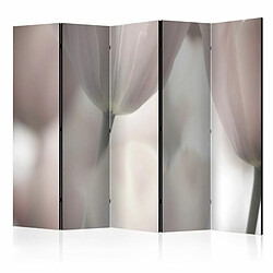 Paris Prix Paravent 5 Volets Tulips Fine Art Black & White 172x225cm