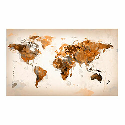 Paris Prix Papier Peint World in Brown Shades 270x450cm