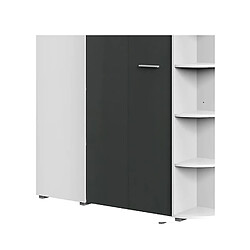 Pegane Armoire dressing placard, meuble de rangement Blanc, rechampis graphite - Longueur 124 x Hauteur 199 x Profondeur 148 cm