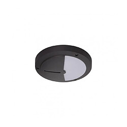 Luminaire Center Applique de jardin Daru 1 ampoule Anthracite pas cher