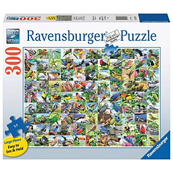 Puzzle 2D Large format: 99 Delightful birds 300 elements 