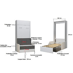 Acheter Inside 75 Armoire lit escamotable DYNAMO SOFA canapé accoudoirs blanc tissu marron 90*200 cm