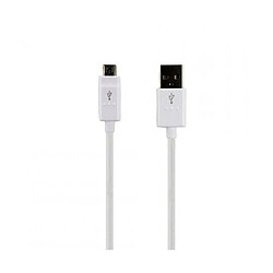 Cable de datos MyWigo 