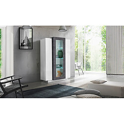 Alter Vitrine moderne avec porte vitrée, Made in Italy, avec lumière LED blanche, Buffet avec étagères, Vitrine de salon, 80x38h121 cm, Couleur Blanc Brillant et Gris Frêne