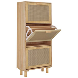 vidaXL Armoire à chaussures Marron 52x25x115cm Bois d'ingénierie/rotin