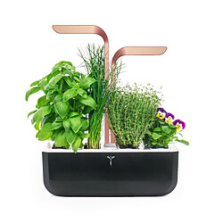 Potager Véritable Smart Black/Copper