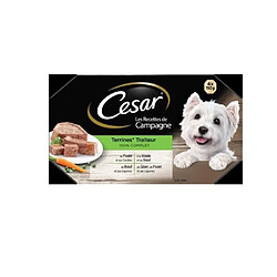 César Barquettes en terrine 4 x 150 g (x6)