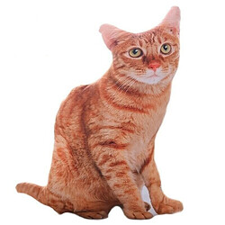 Universal (orange) 50cm 3D simulé CAT oreiller poupée coussin peluche 