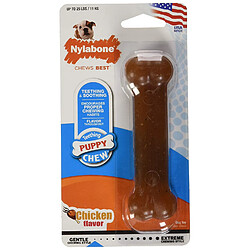 Nylabone Chiot Os pour Chien Regular