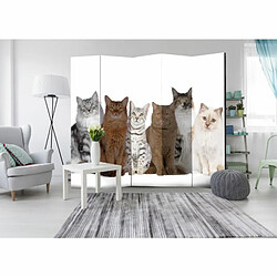 Paris Prix Paravent 5 Volets Sweet Cats 172x225cm