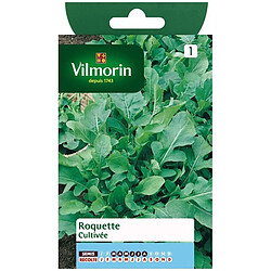 Vilmorin Sachet graines Roquette cultivée