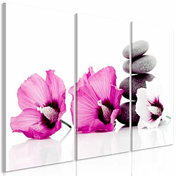 Paris Prix Tableau Imprimé 3 Panneaux Calm Mallow Pink 80 x 120 cm 