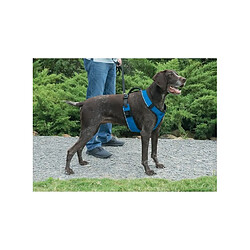 EASY WALK Harnais S - Bleu - Pour chien 