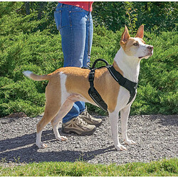 Avis PetSafe - Harnais pour Chien Moyen EasySport (M) avec Poignée de Contrôle - Réfléchissant - Ajustable - Confortable - Rembourré - Rouge