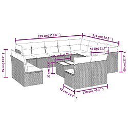 Avis vidaXL Salon de jardin avec coussins 13 pcs gris clair résine tressée