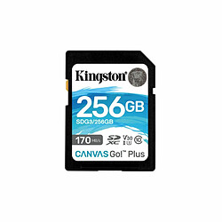 Carte Mémoire SD Kingston SDG3/256GB 256GB 256 GB