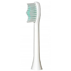 Brosse à dents électrique