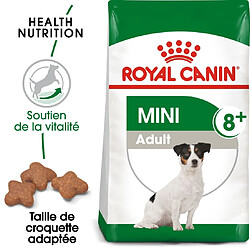 Croquettes pour chien